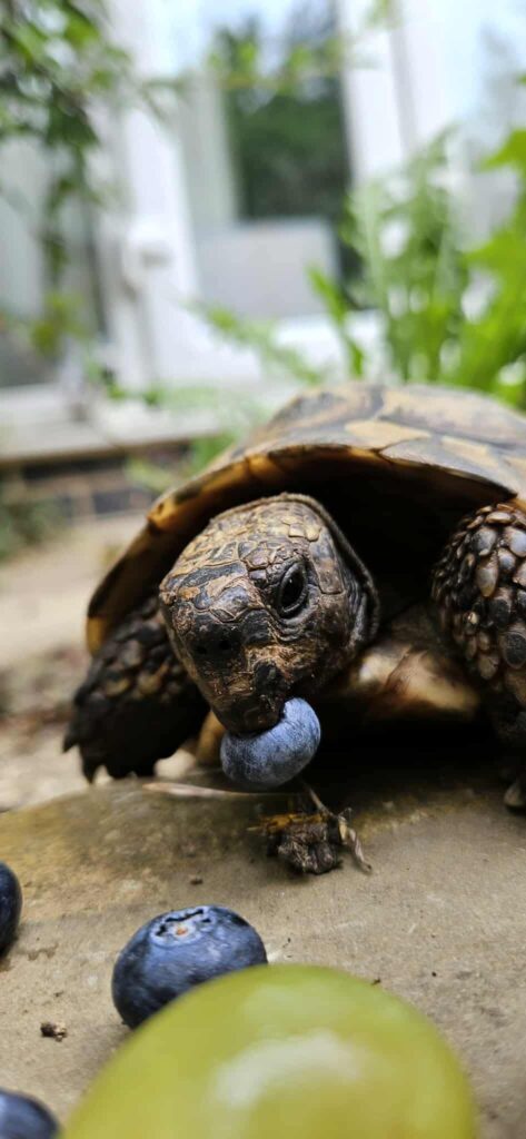 524659347_1270855821494228_7748777308736593368_n