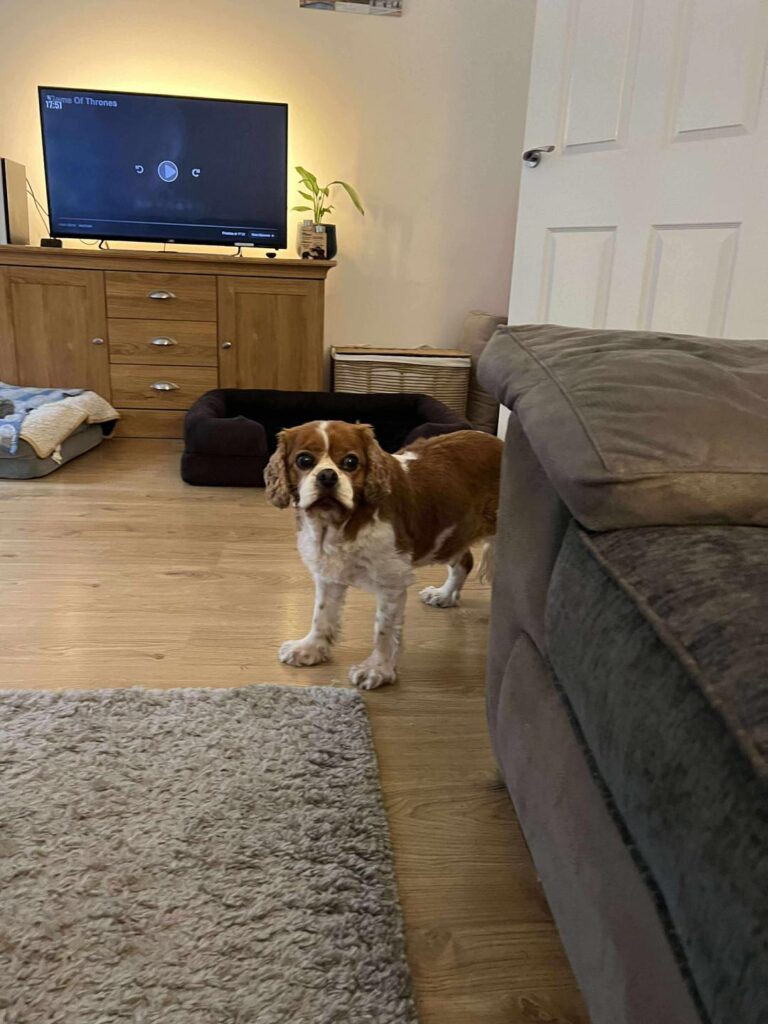 559059007_1330261295553680_8835312730335089364_n