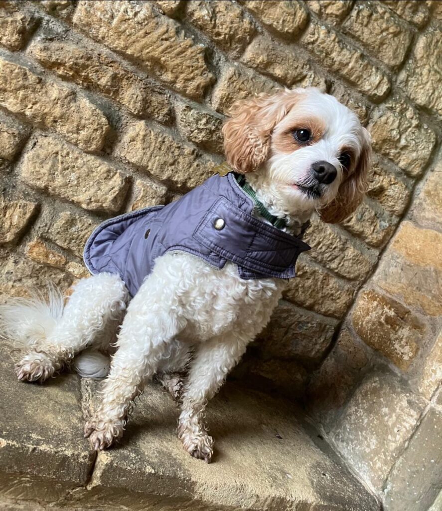 585131561_1364234575489685_4159885259060249915_n