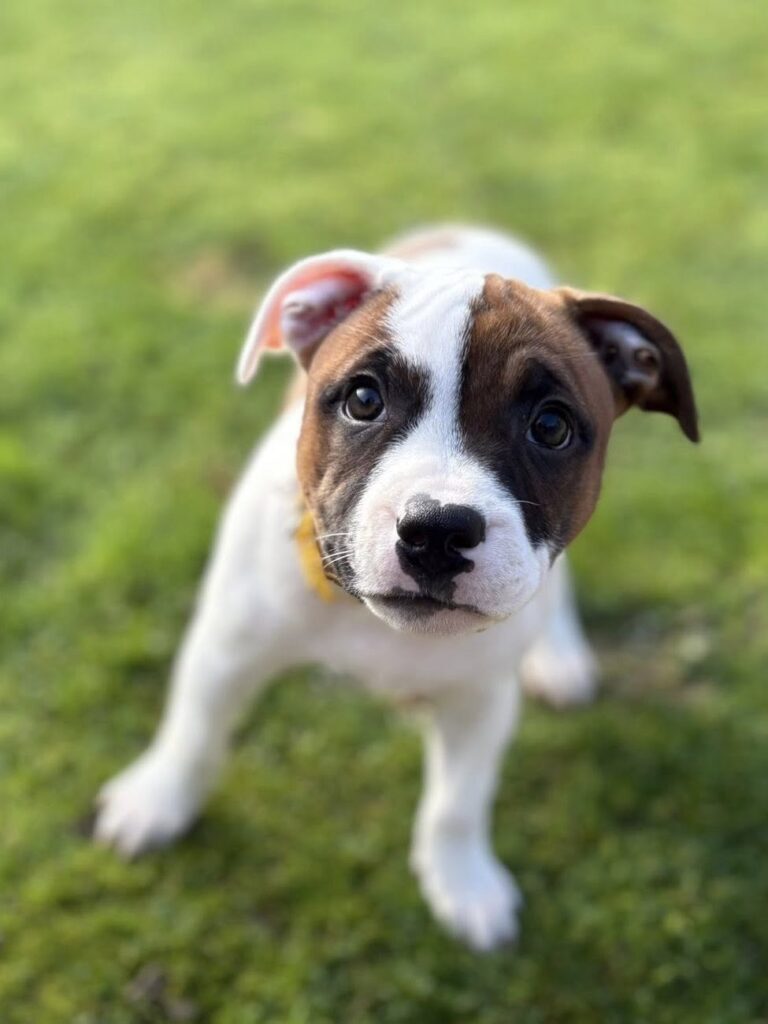 587908526_1365822078664268_48881521436656266_n