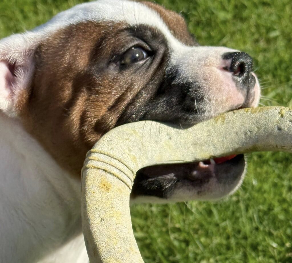 576935765_1351680443411765_4441393555236225677_n