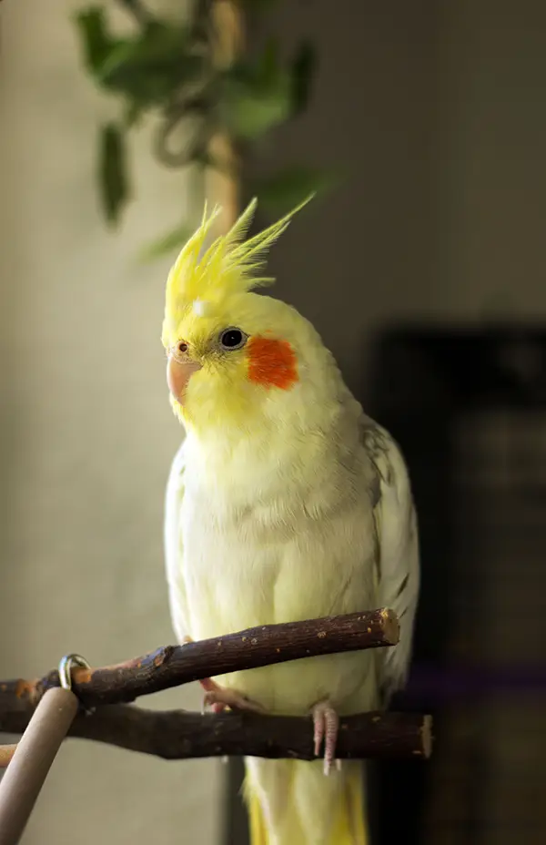 AdobeStock_1176062470 copy