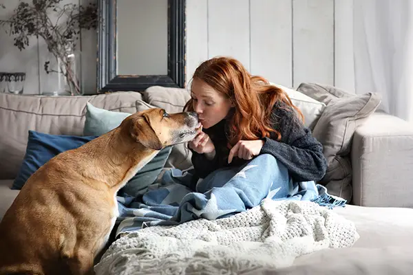 AdobeStock_199489322 copy doggie day care Market Harborough