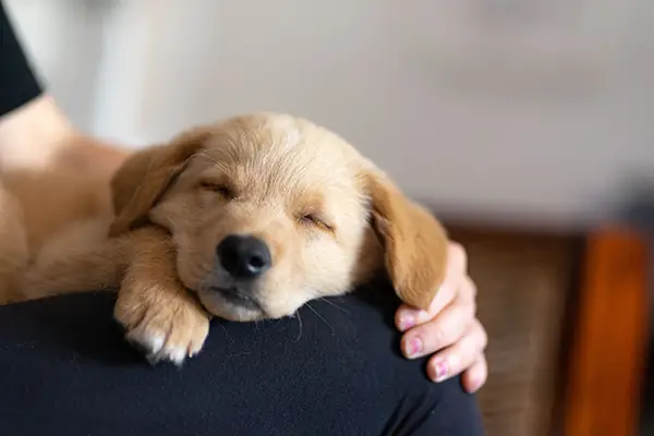 AdobeStock_431223600 copy