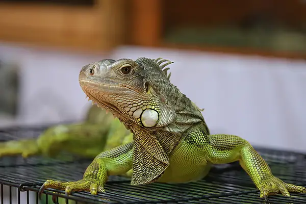 AdobeStock_454409115 copy